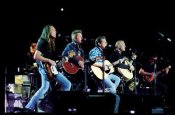 Eagles Band Live On Stage
