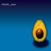 Pearl Jam Self Titled Lyrics