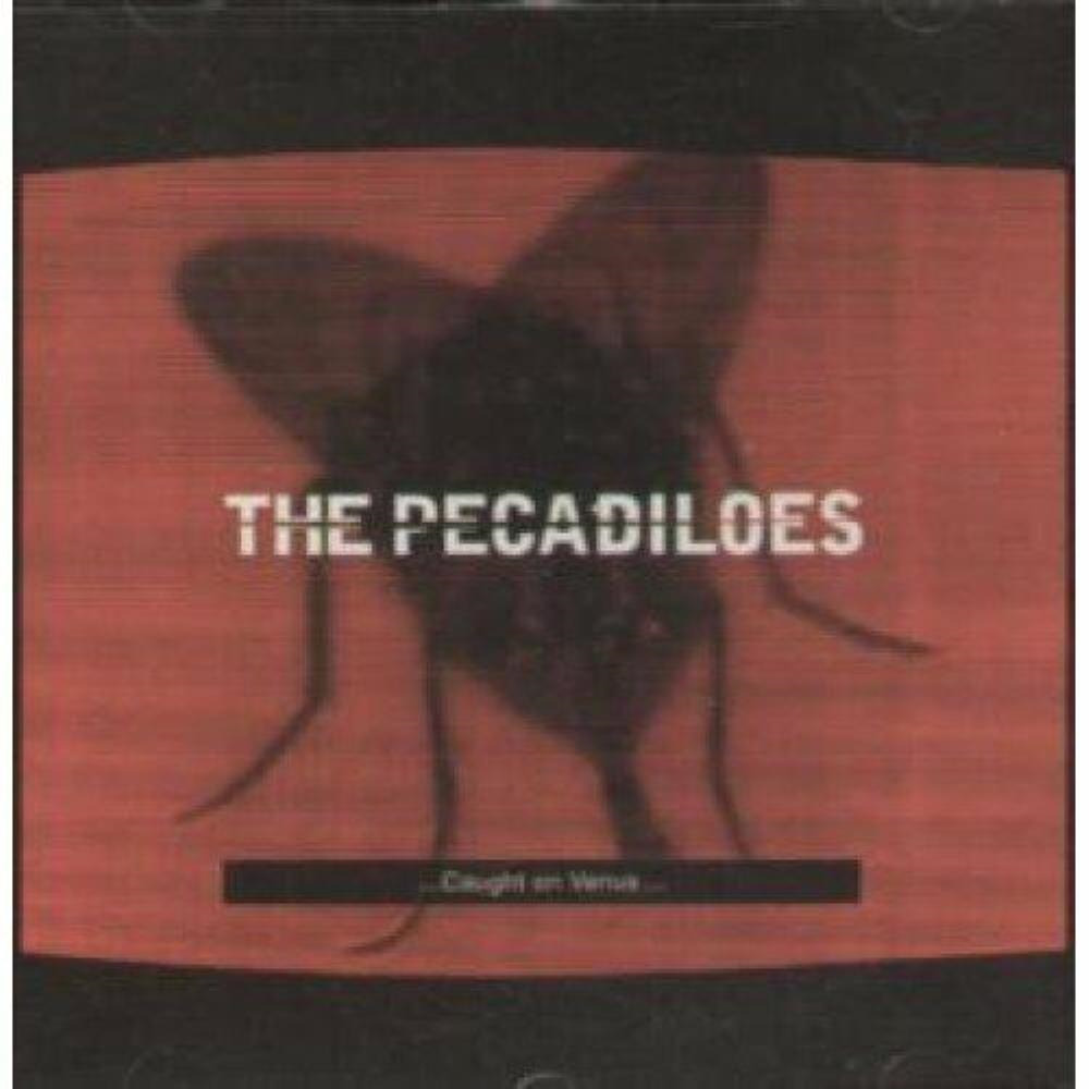The Pecadiloes - Caught on Venus CD (1998) Audio Quality Guaranteed