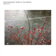 Norbert Rodenkirchen/Robbie Lee/James Ilgenfritz Opalescence (CD) Album picture