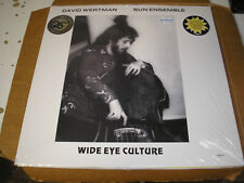 David Wertman & Sun Ensemble - Wide Eye Culture double LP new sealed BBE jazz picture
