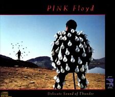 Pink Floyd : Delicate Sound of Thunder CD picture
