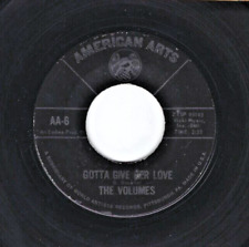 NORTHERN  SOUL 45  The Volumes  American Arts  6 picture