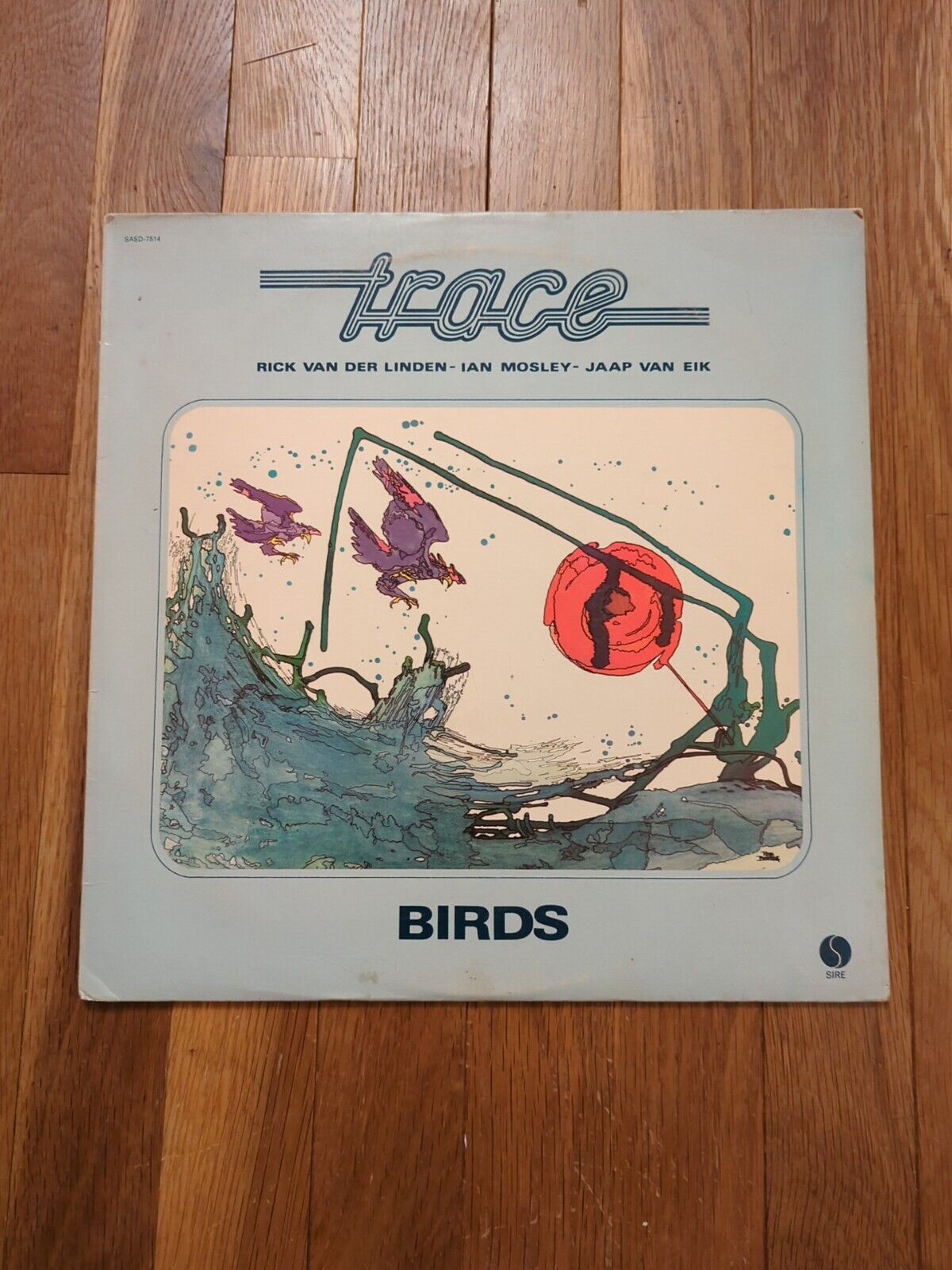 TRACE - Birds - \'75 Sire Prog LP - Dutch band