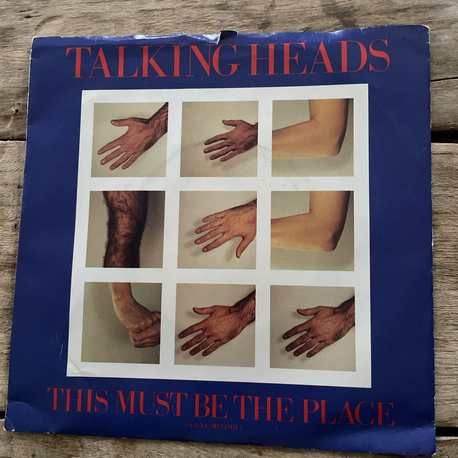 Talking Heads 45 Record in Picture Sleeve This Must be the Place / Moon Rocks NM