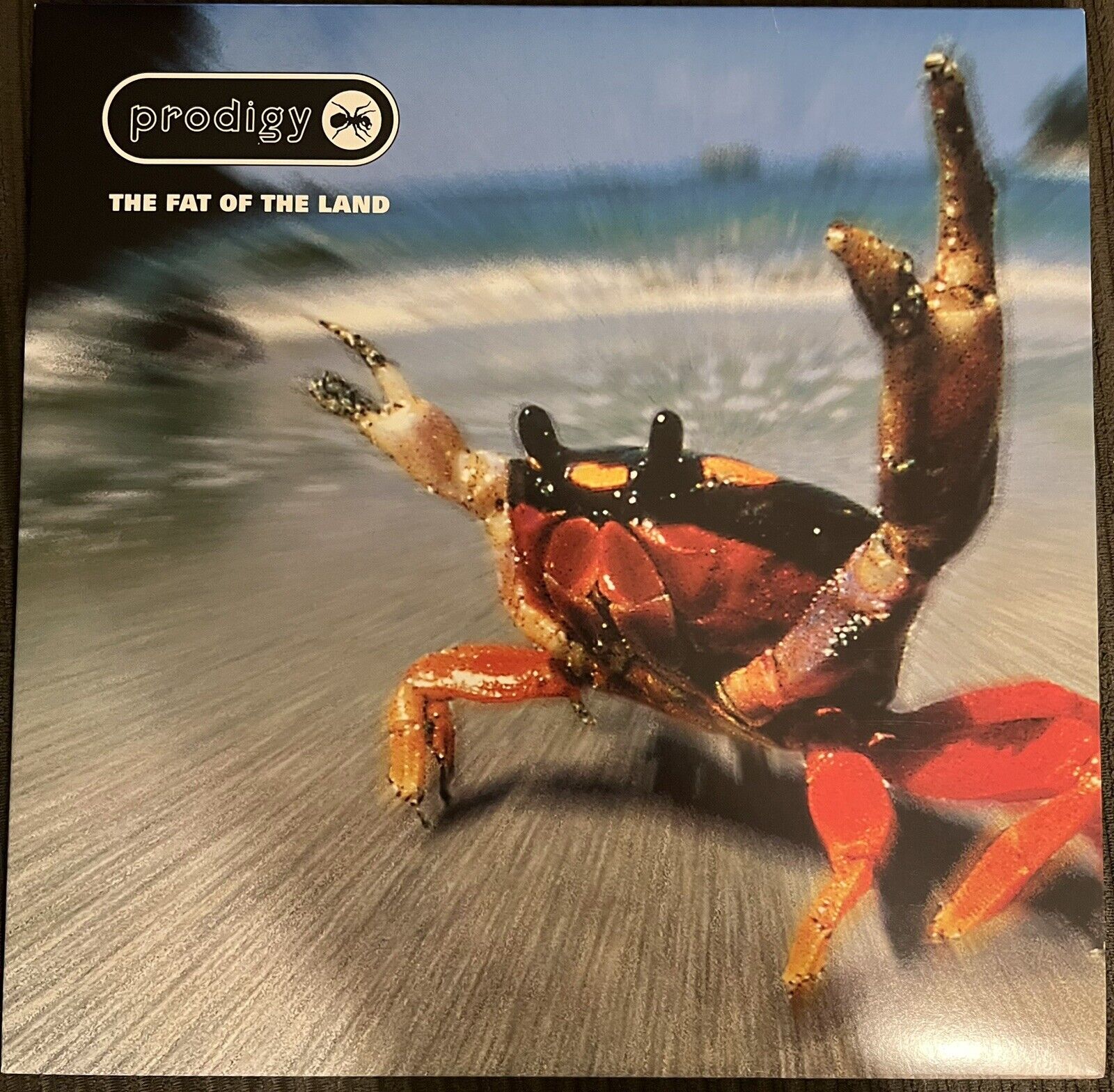 The Fat Of The Land by Prodigy (Record, 2012)