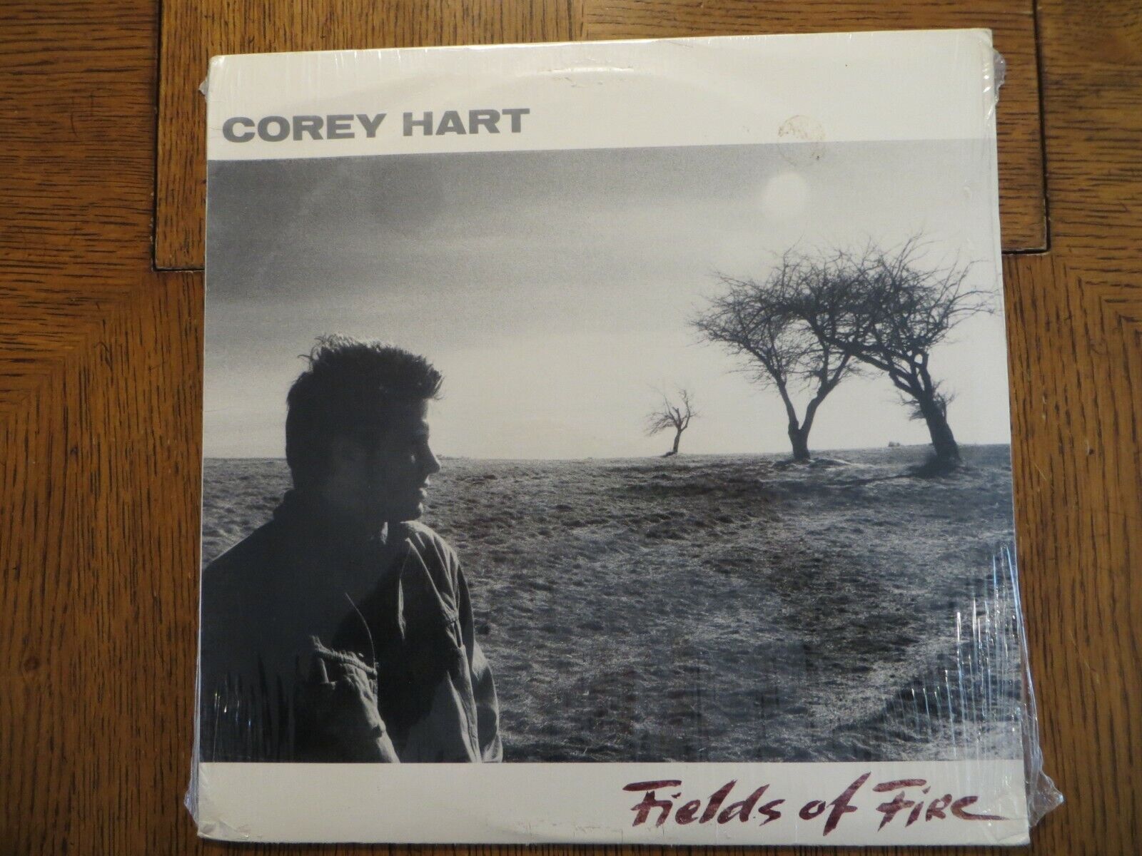 Corey Hart – Fields Of Fire - 1986 - EMI America PW-17217 Vinyl LP NEW SEALED