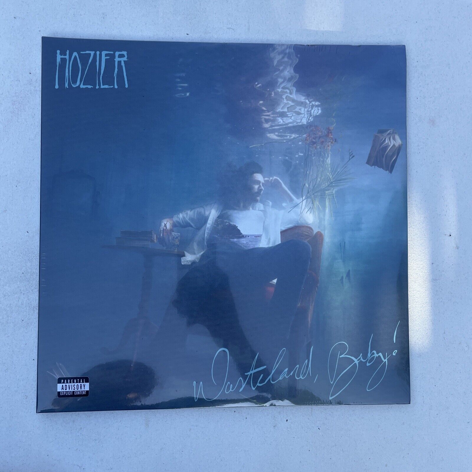 Amazing New Vinyl Wasteland Baby by Hozier (Record, 2019)