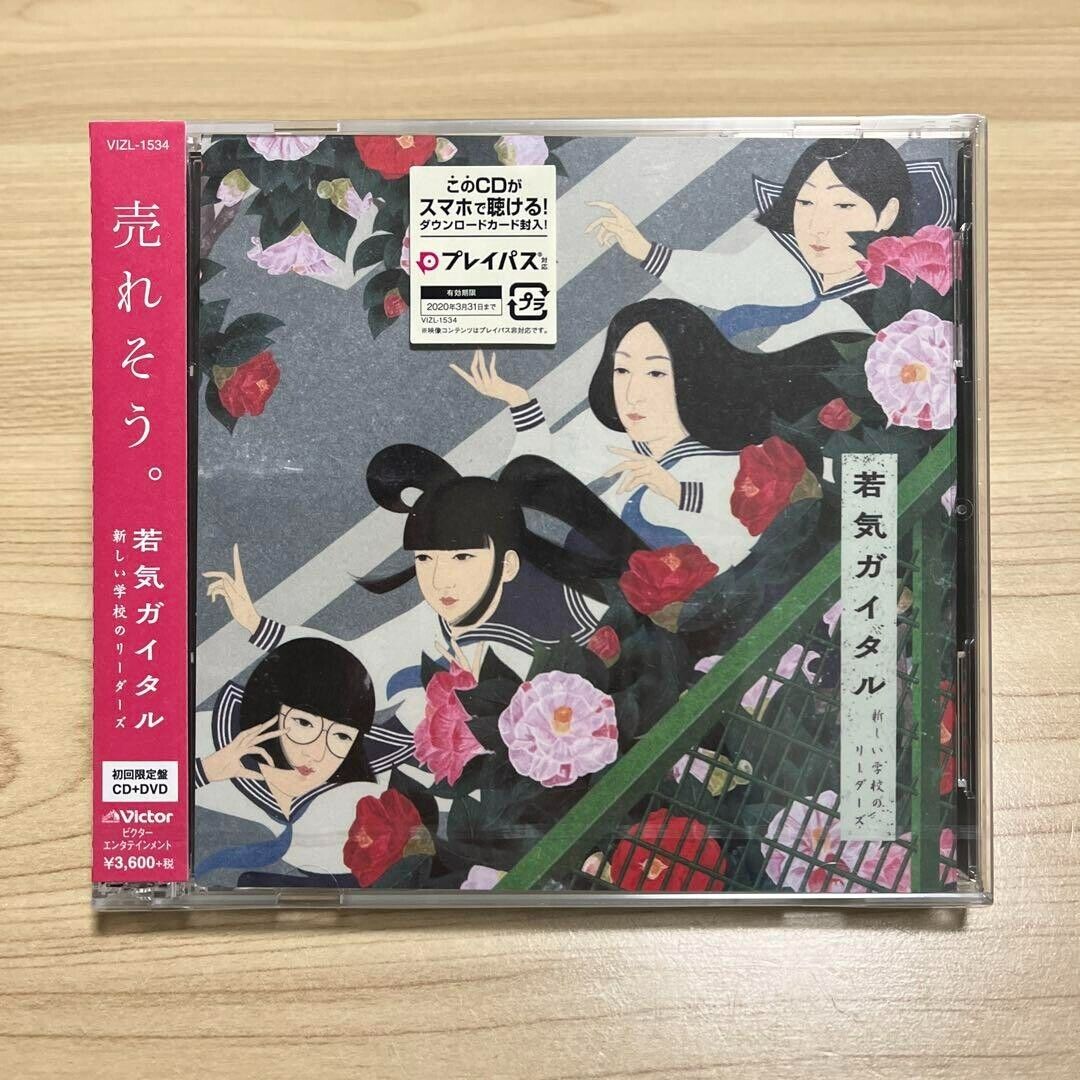 ATARASHII GAKKO WAKAGE GAITARU First limited edition CD+DVD Young Guy Tal OBI