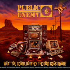 What You Gonna Do When The Grid Goes Down? by Public Enemy (Record, 2020) picture