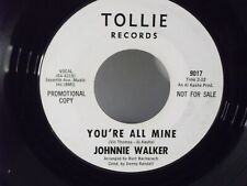 Johnnie Walker,Tollie 9017,