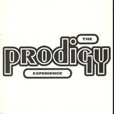 The Prodigy The Prodigy Experience (CD) Album picture