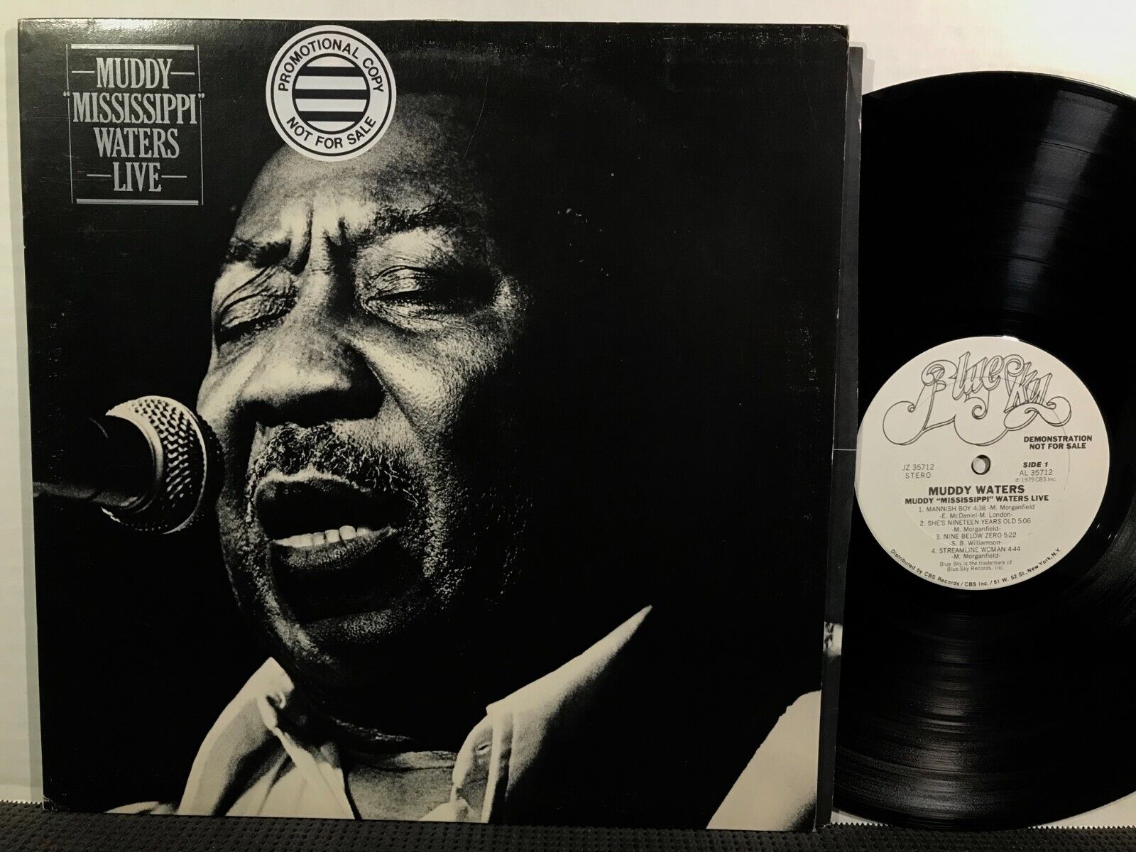 MUDDY WATERS Muddy Mississippi Waters Live LP BLUE SKY STEREO DJ PROMO 1979
