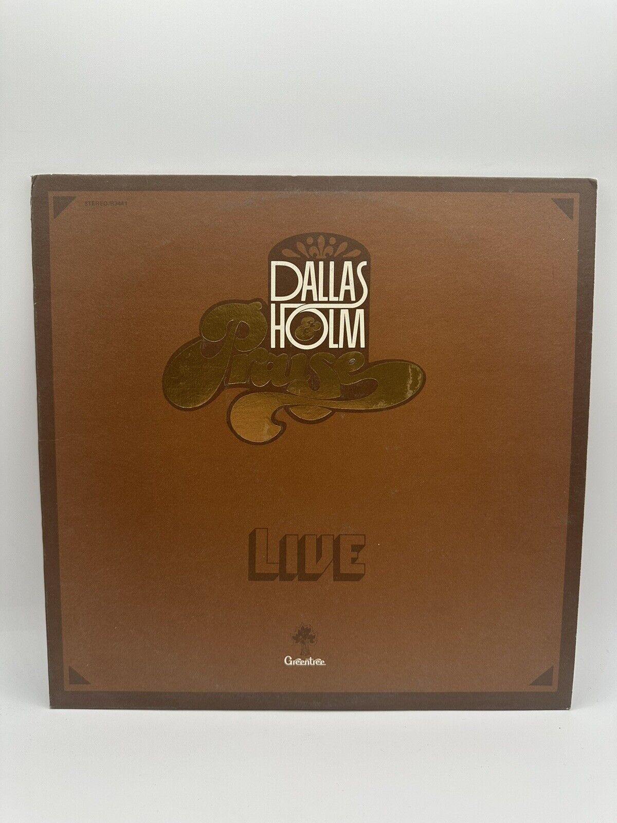 Vintage 1977 Dallas Holm & Praise Hey I\'m a Believer Live vinyl LP Greentree