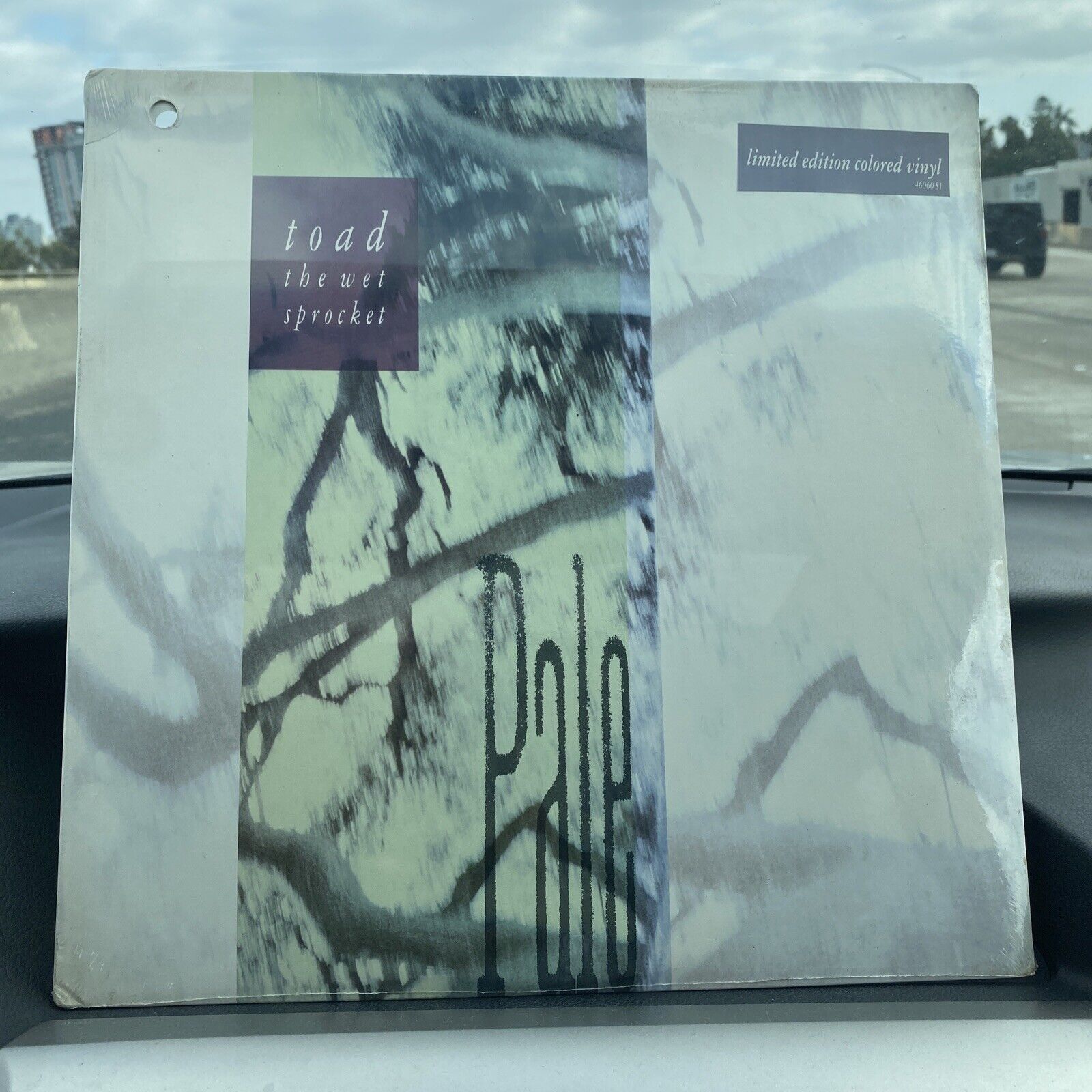 SEALED Toad the Wet Sprocket - Pale LP 1990 Pressing HYPE STICKER Colored Vinyl