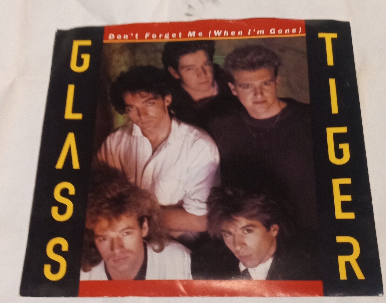 Vintage Record 45 RPM  Manhattan Glass TIGER Don\'t Forget Me Ancient Evenings PS