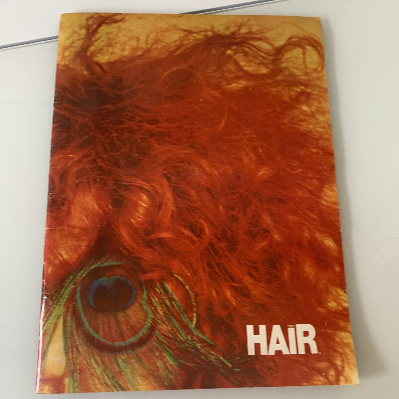 HAIR THE MUSICAL THEATRE PROGRAMME 70’s VGUC Includes Poster Aust Production