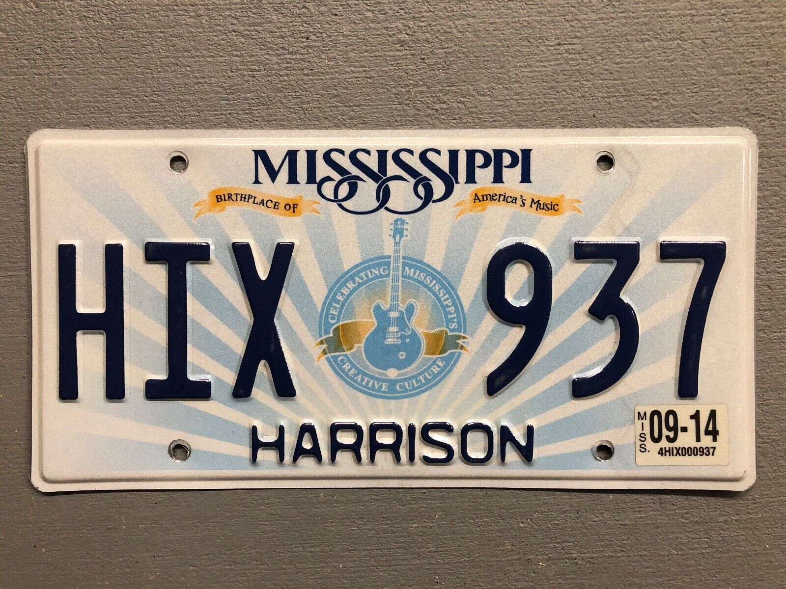 MISSISSIPPI LICENSE PLATE GUITAR 🎸 MUSIC 🎵 RANDOM LETTERS/ NUMBERS