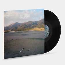 Animal Collective - Crestone LP Vinyl Record picture