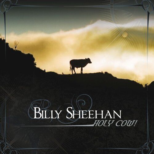 BILLY SHEEHAN - Holy Cow - CD - **Mint Condition**