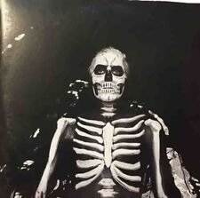 Rare: The Maine Forever Halloween Vinyl Record picture