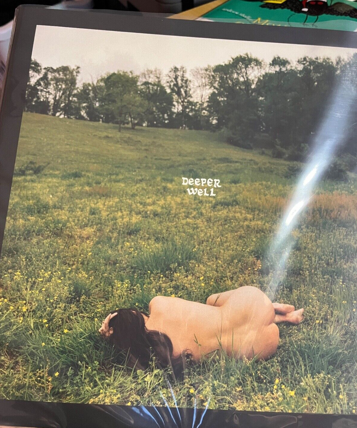 Kacey Musgraves - Deeper Well Transparent Cream Vinyl Nude Cover IN HAND