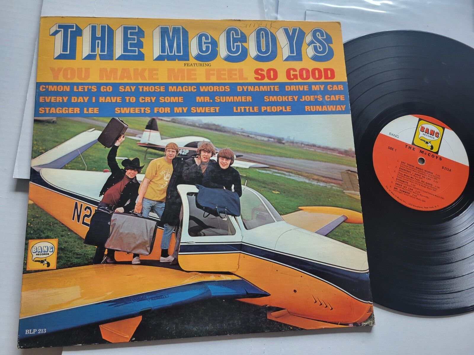 THE McCOYS - You Make Me Feel So Good 1966 MONO Garage Rock (LP)