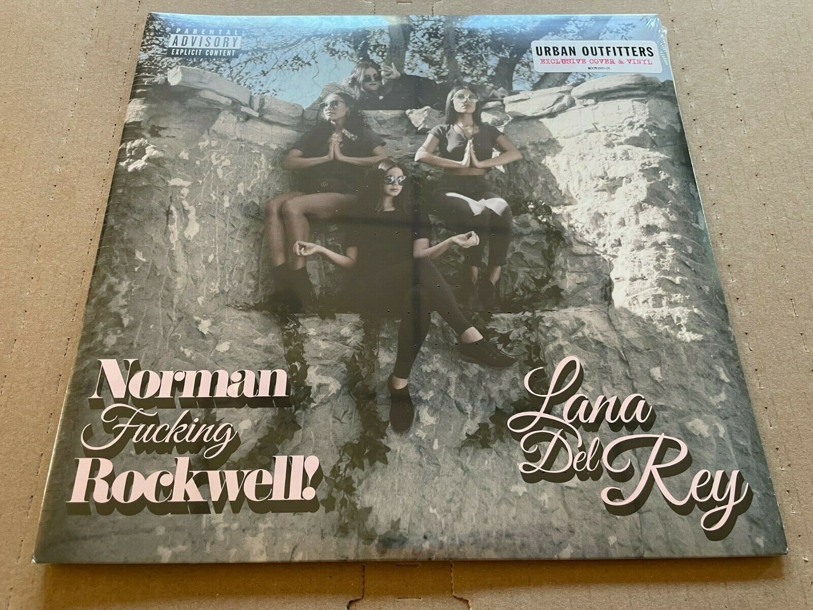NEW SUPER RARE Lana Del Rey - Norman Rockwell NFR PINK Vinyl 2xLP