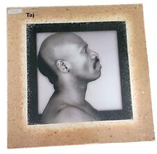 Taj Mahal “Taj” LP/Gramavision (EX) 1986 picture