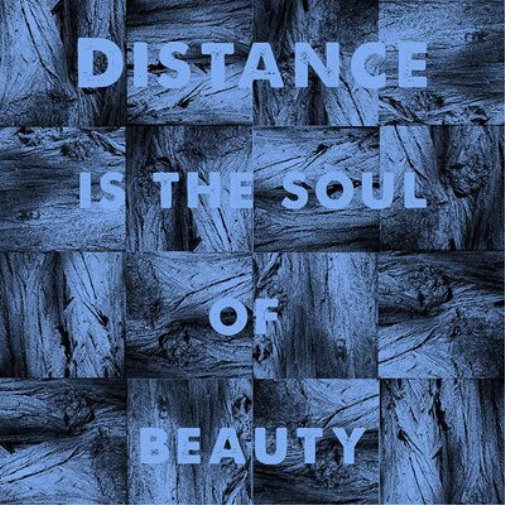 Michael J. Sheehy Distance Is the Soul of Beauty (Vinyl) 12\
