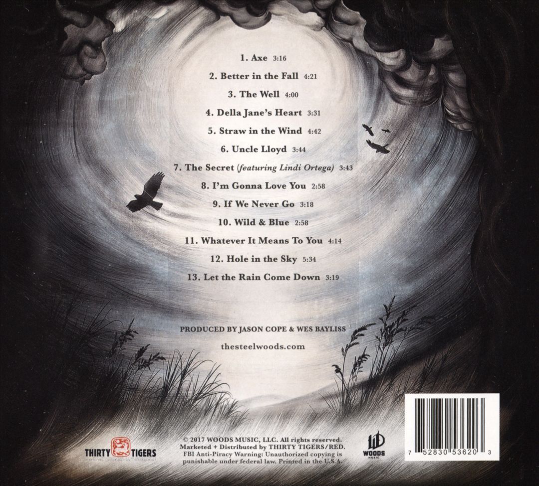 THE STEEL WOODS - STRAW IN THE WIND NEW CD