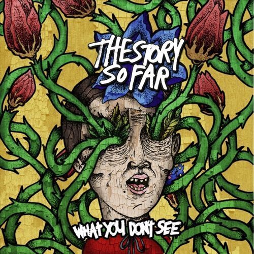 THE STORY SO FAR - WHAT YOU DON\'T SEE NEW VINYL