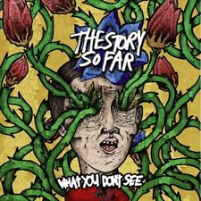 THE STORY SO FAR - WHAT YOU DON'T SEE NEW VINYL picture
