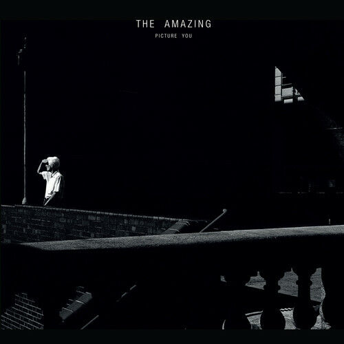 Picture You by The Amazing (CD, 2015)
