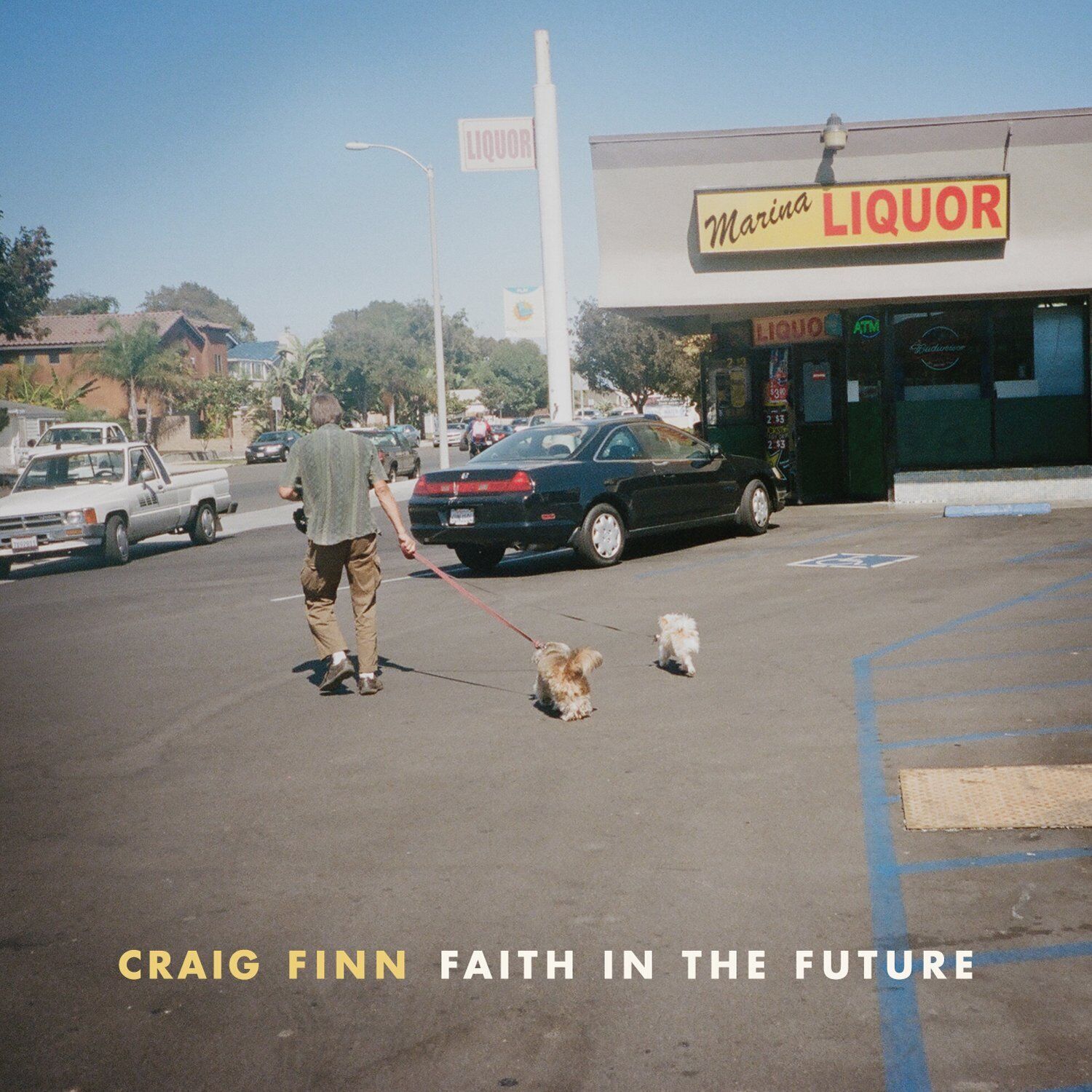 Craig Finn Faith in the Future (Vinyl)