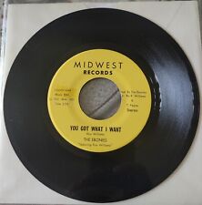 Rare Original Soul 45 The Ebonies - You Got What I Want (Midwest) picture