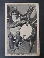 Postcard Sailor with Banjo St Louis Zoo 1942 Chimpanzees  picture