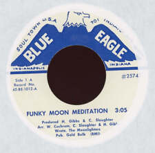 The Fabulous Moonlighters - Funky Moon Meditation on Blue Eagle Funk 45 picture