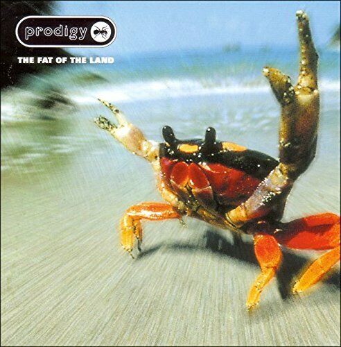 The Prodigy - The Fat of the Land - The Prodigy CD NSVG The Fast 