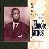The Sky Is Crying: The History of Elmore James picture