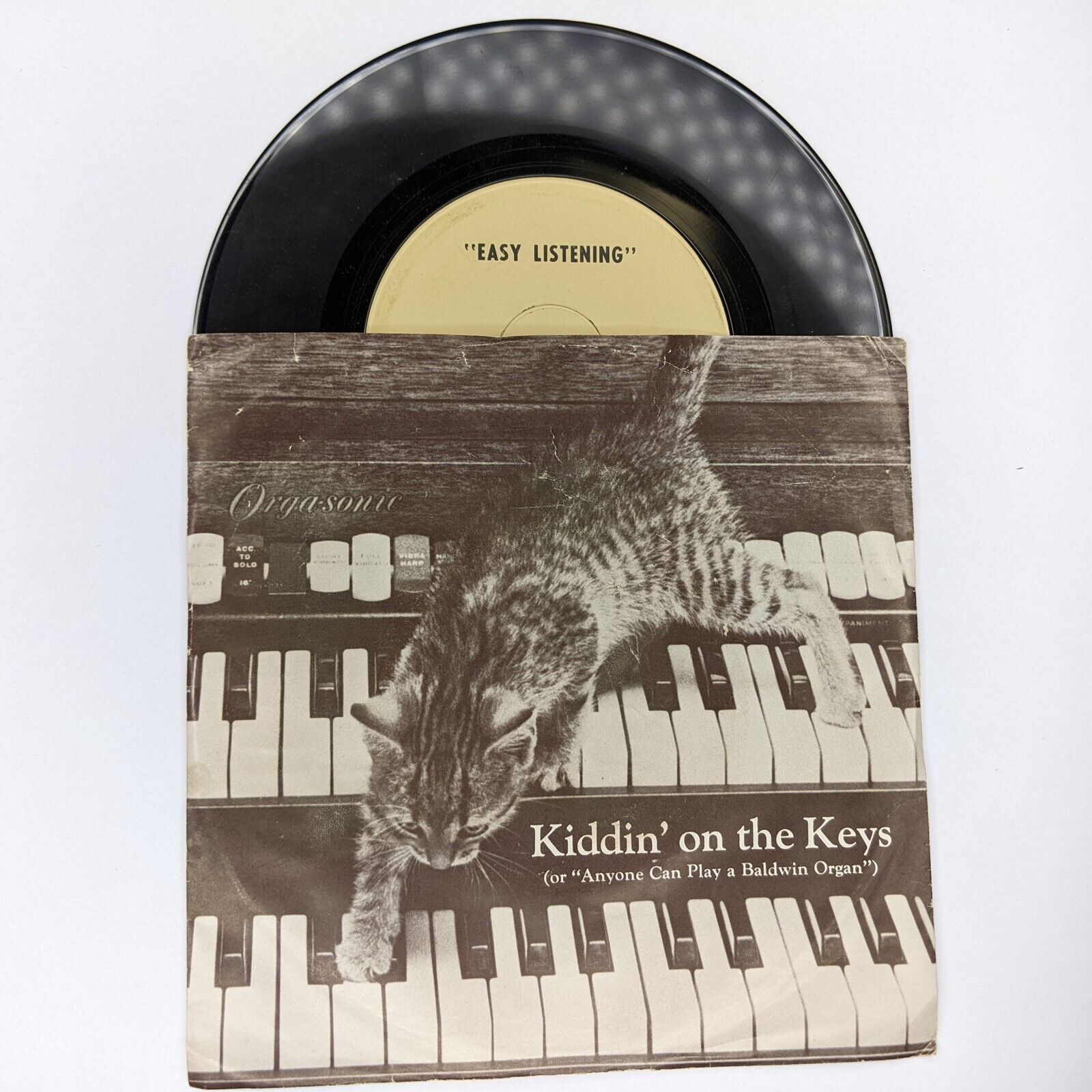 1966 Eddie Osborn 7 Wk. Kitten Plays Baldwin Organ 7\