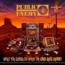 Public Enemy - What You Gonna Do When The Grid Goes Down? NEW Sealed Vinyl LP picture