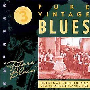 GARFIELD AKERS - Pure Vintage Blues: Future Blues - CD - Excellent Condition