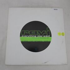 Ray J Everything You Want PROMO SINGLE Vinyl Record Album picture