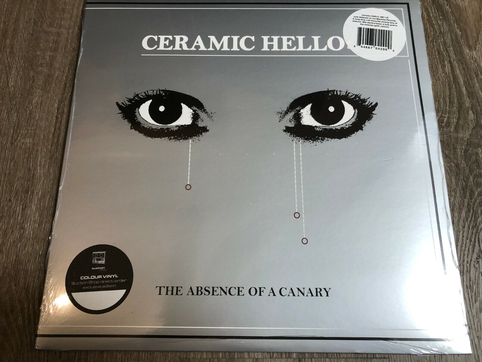 Ceramic Hello ‎– The Absence Of A Canary Limited Color LP 2 P23 Ships from US