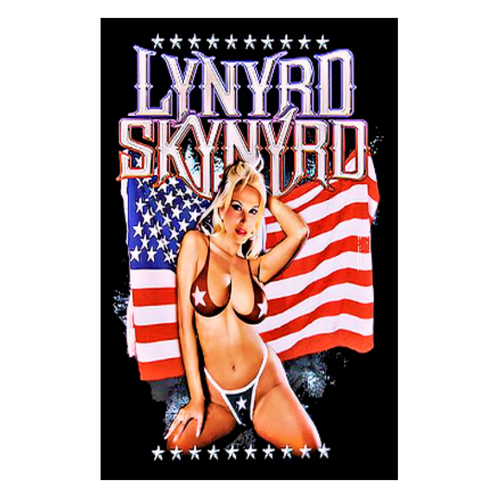 Lynyrd Skynyrd Vinyl Sticker Sign Decal Laptop Wall, Frame, Vintage Replica