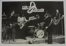 THE FLAMIN' GROOVIES ORIGINAL PROMO POSTER picture