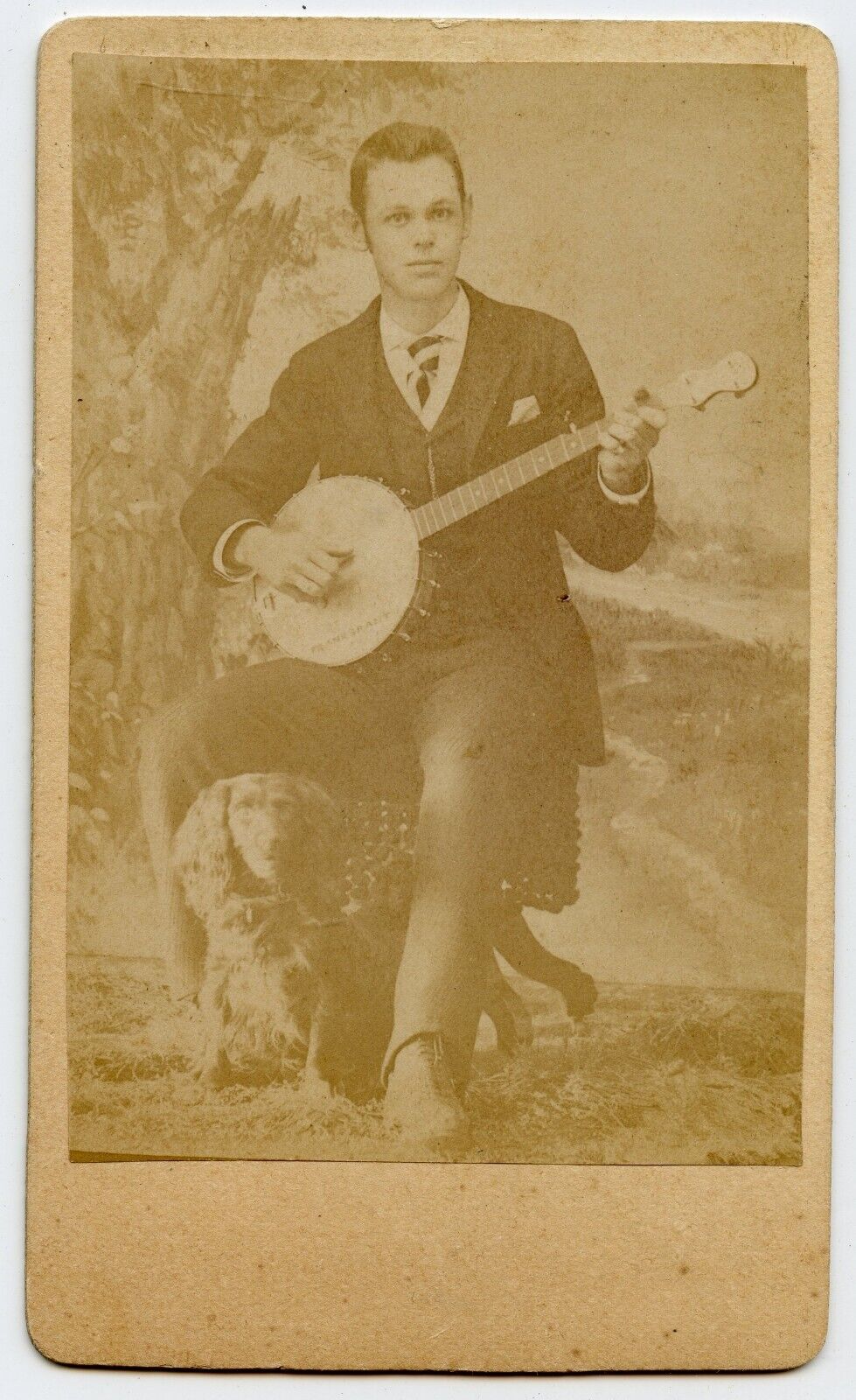 Man Playing Banjo , Dog under chair Vintage Music CDV Photo by Loupret Lowell MA