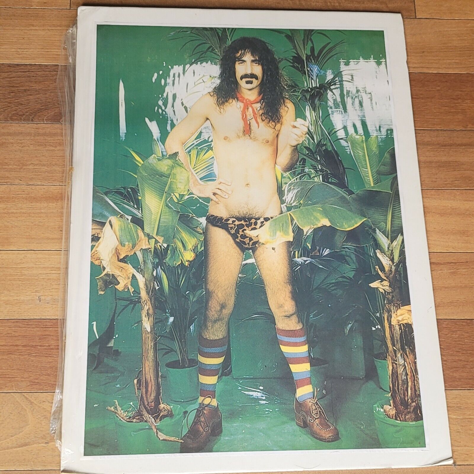 Rare Frank Zappa's Mothers ‎– Swiss Cheese/Fire Original Poster Made in EEC VTG