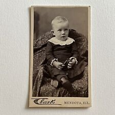 Antique CDV Photograph Adorable Little Boy Holding Harmonica Mendota IL picture
